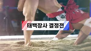 2025 추석장사 씨름대회